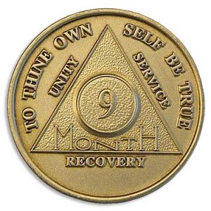 9 Month Chip - Bronze