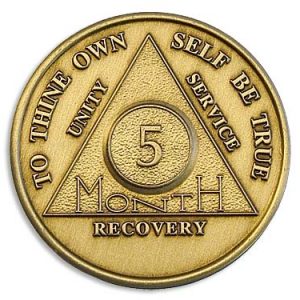 5 Month Chip - Bronze
