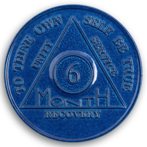 6 Month Chip - Aluminum