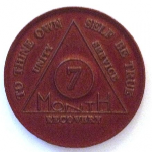 7 Month Chip - Aluminum