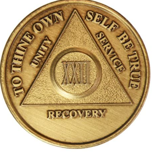 22 Year Chip - Bronze