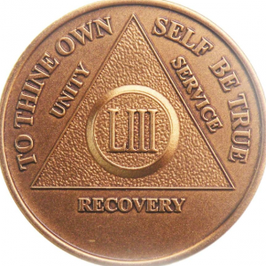 53 Year Chip - Bronze